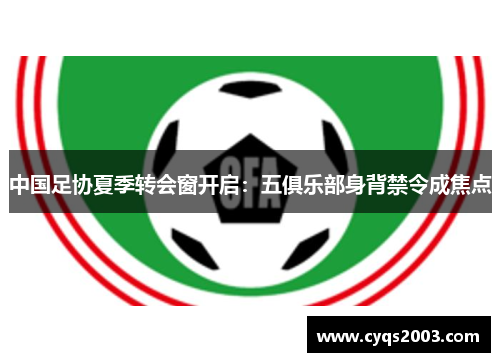 中国足协夏季转会窗开启：五俱乐部身背禁令成焦点